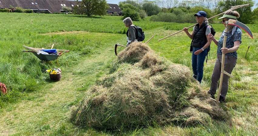 Høslet-pigerne.JPG