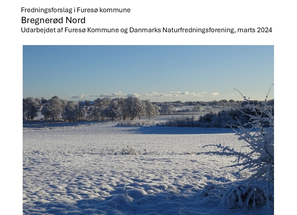 Bregnerød Nord er nu fredet