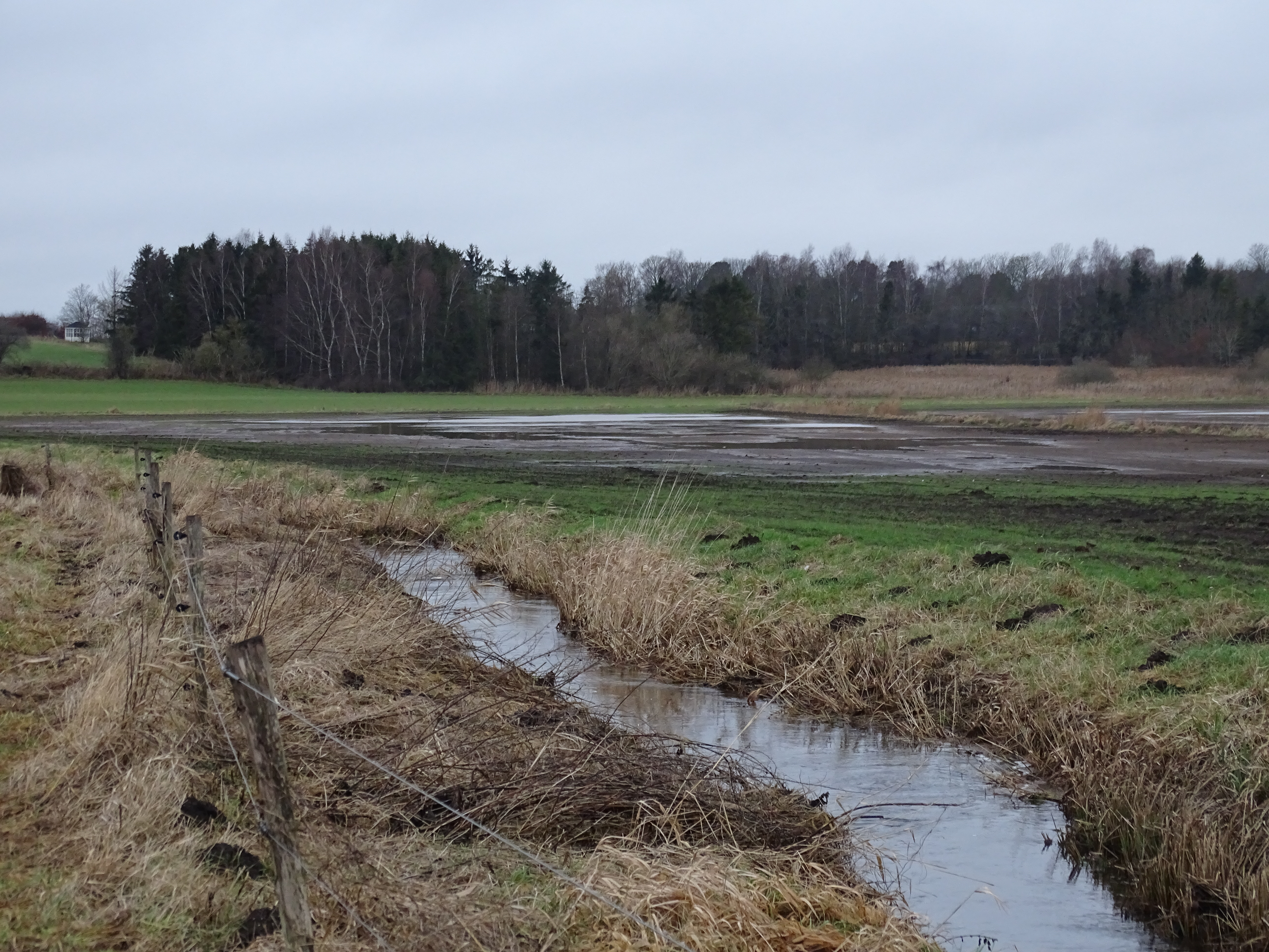 Grøn Trepart i Furesø Kommune