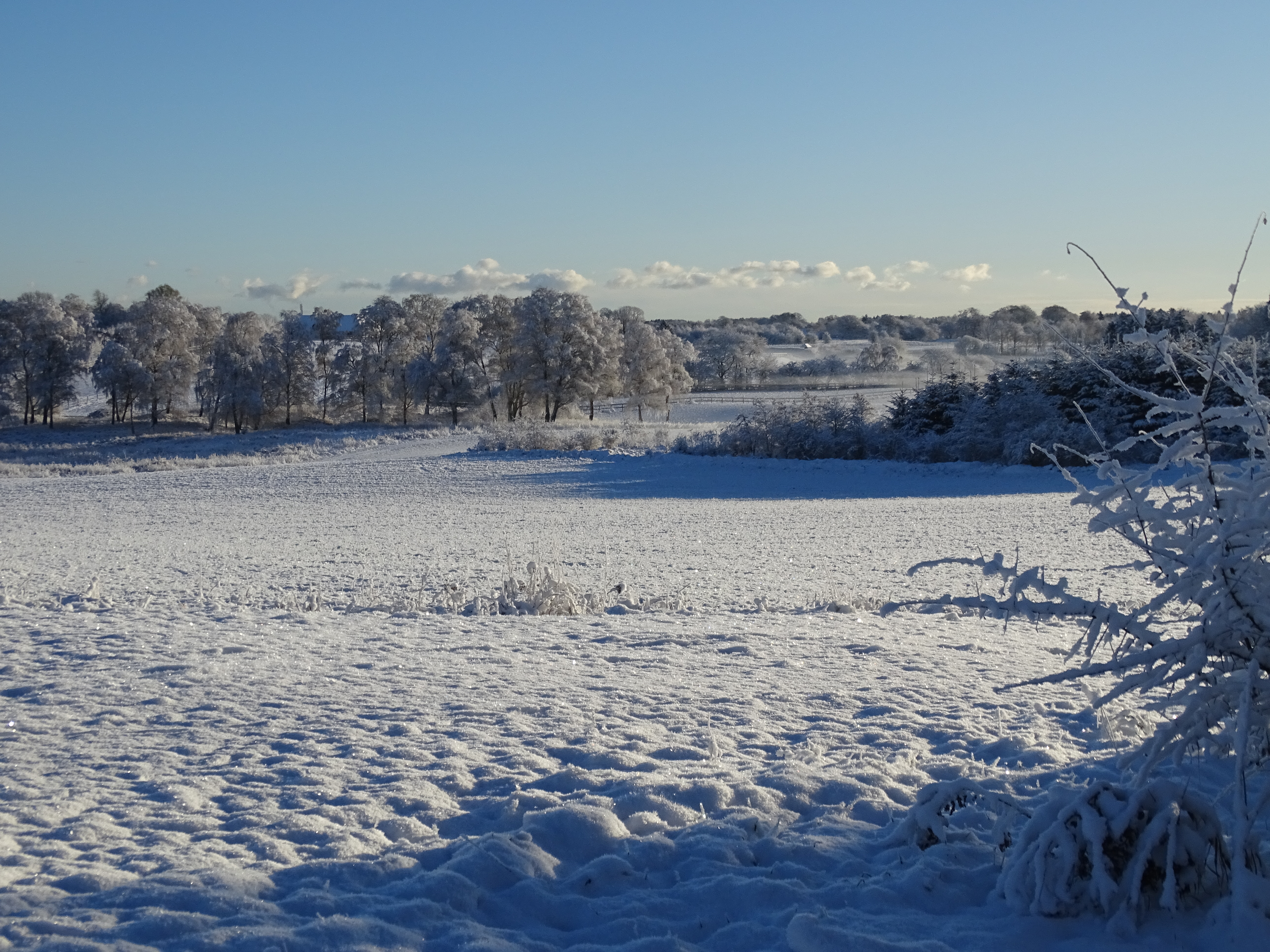 Ny fredning Bregnerød Nord.