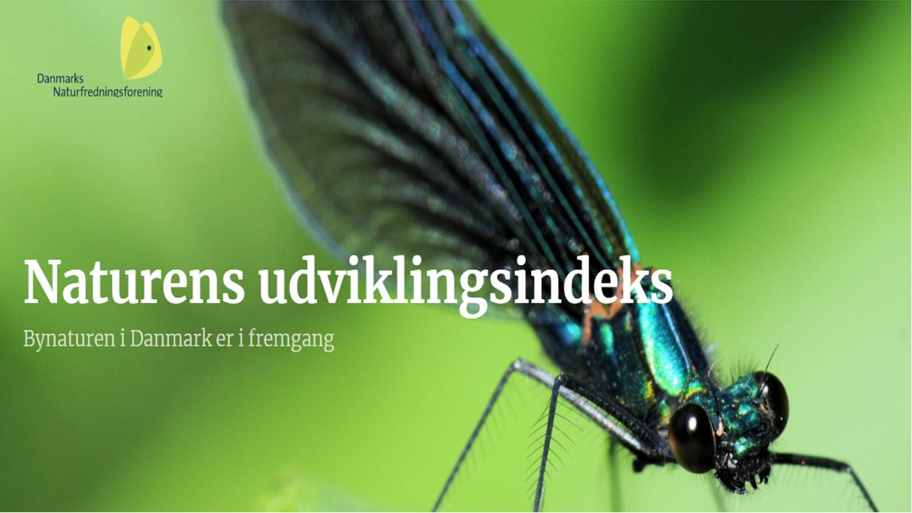 Naturens udviklingsindeks