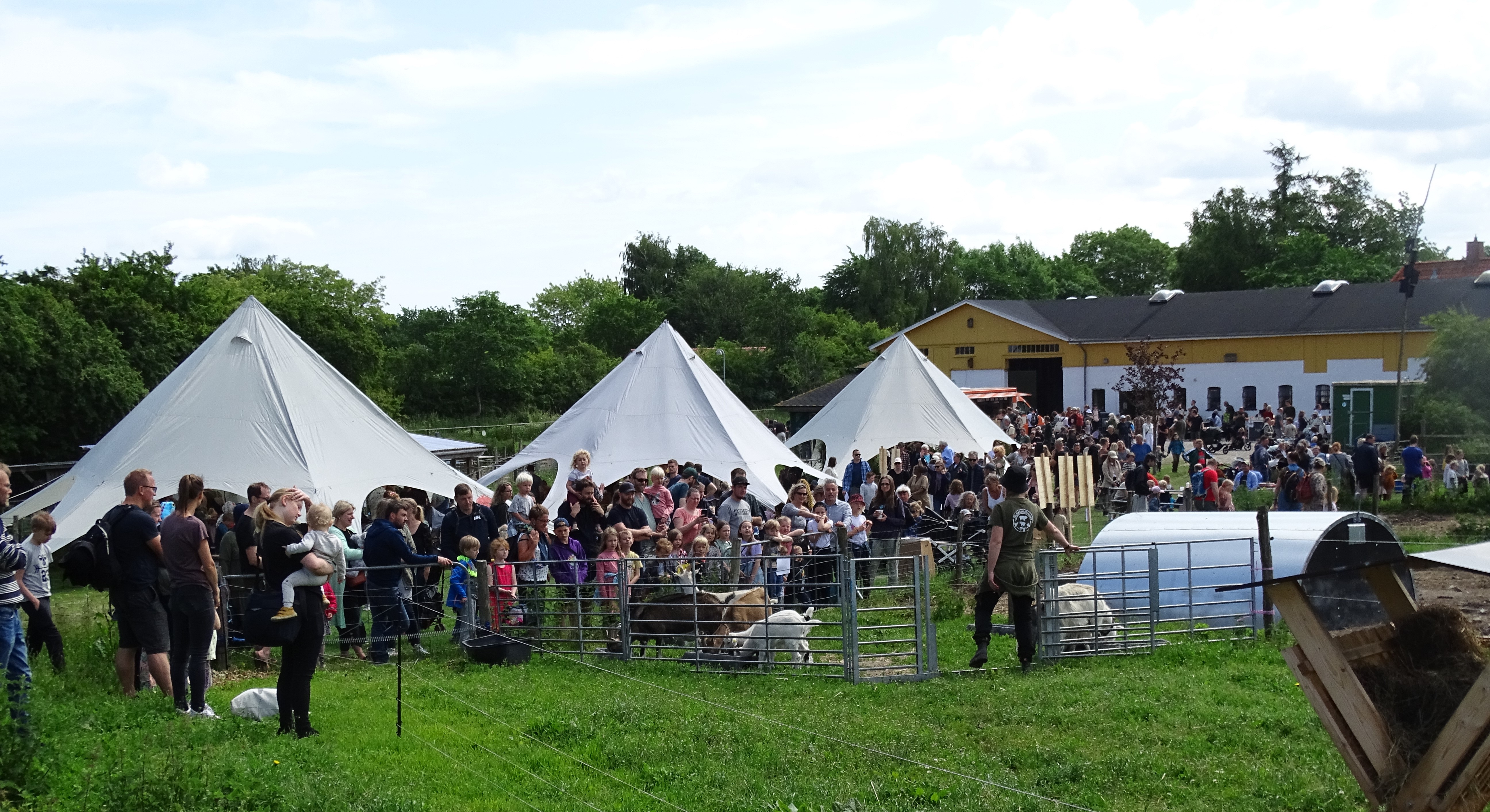 Biodiversitetsfestivalen blev en stor succes.